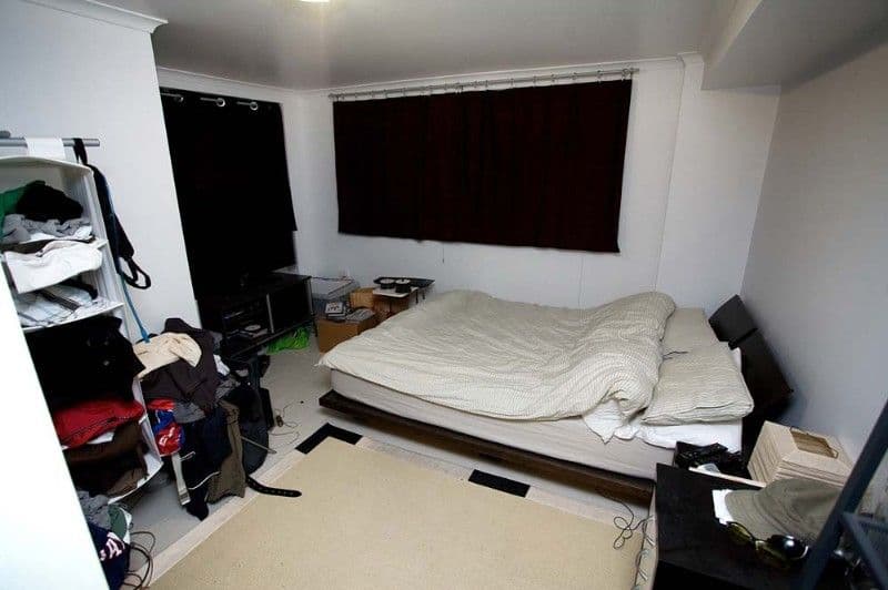 43 Meckiff Street, UPPER MOUNT GRAVATT QLD 4122, Upper Mount Gravatt - Thumbnail 6