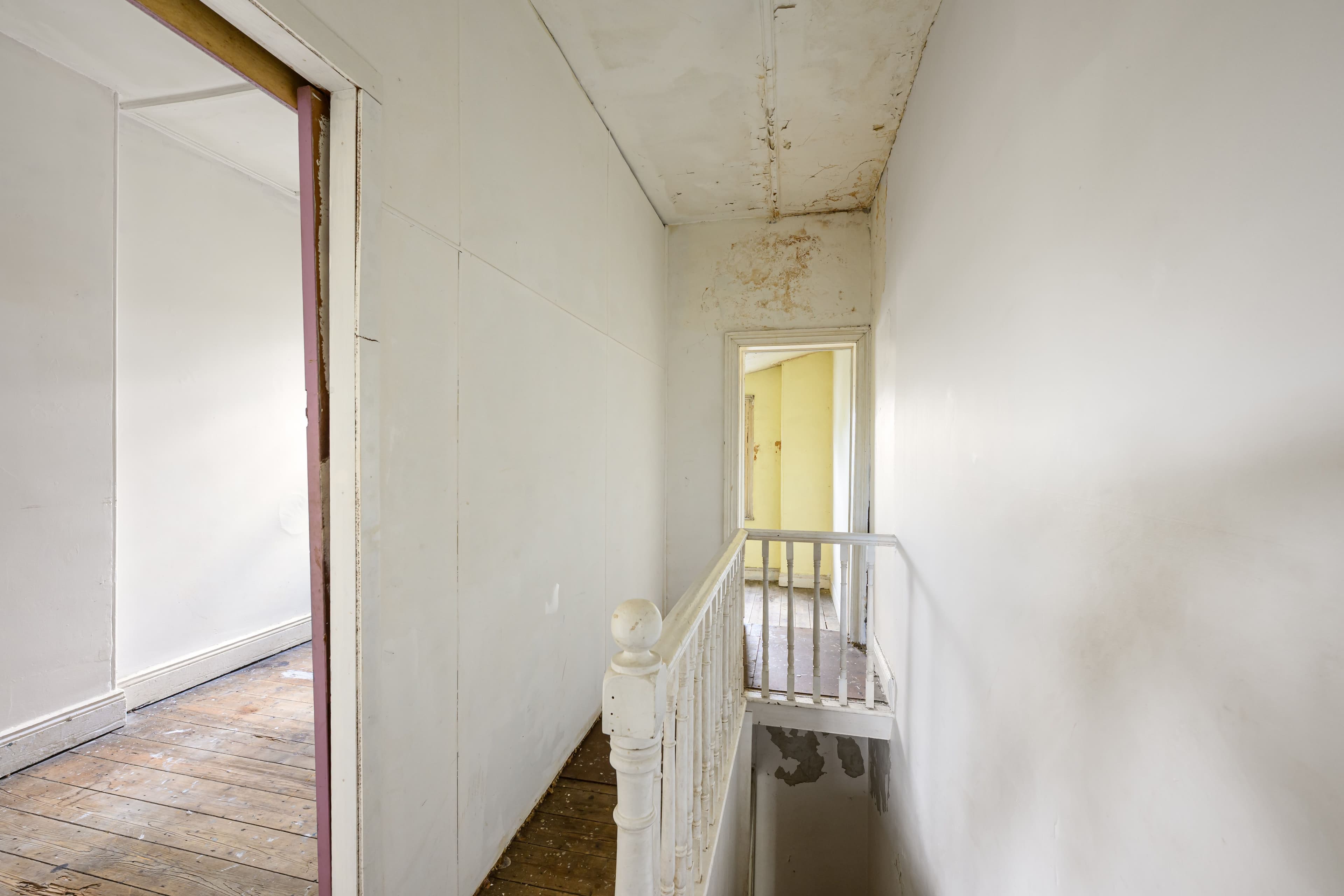 53 Marian Street, Enmore NSW 2042, Enmore - Thumbnail 8