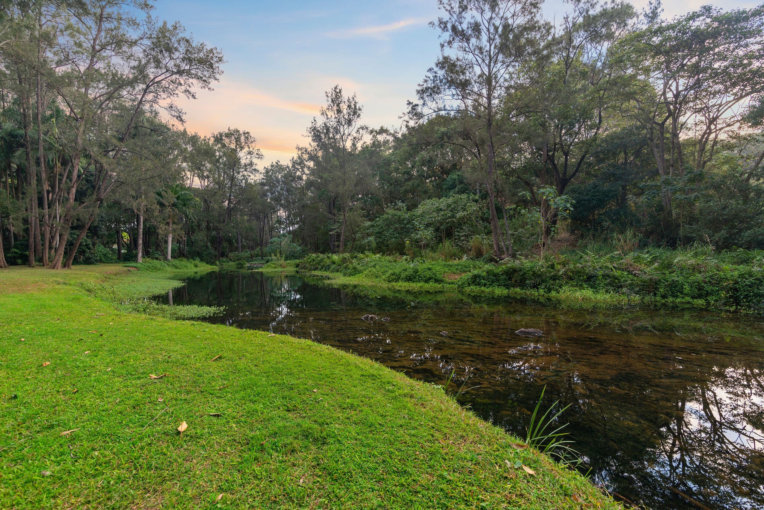 42 Coorabin Court, Tallebudgera QLD 4228, Tallebudgera - Thumbnail 6