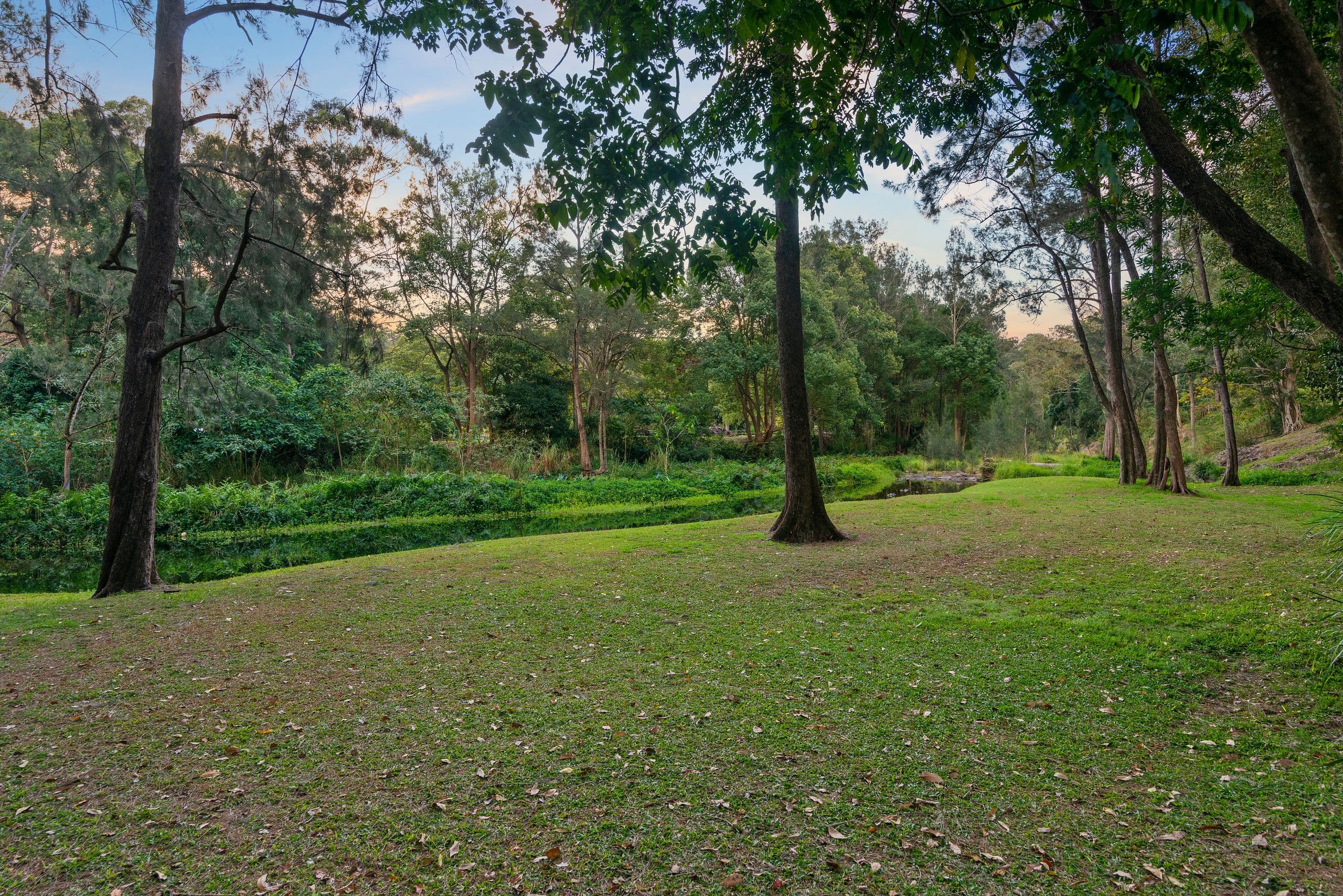 42 Coorabin Court, Tallebudgera QLD 4228, Tallebudgera - Thumbnail 8