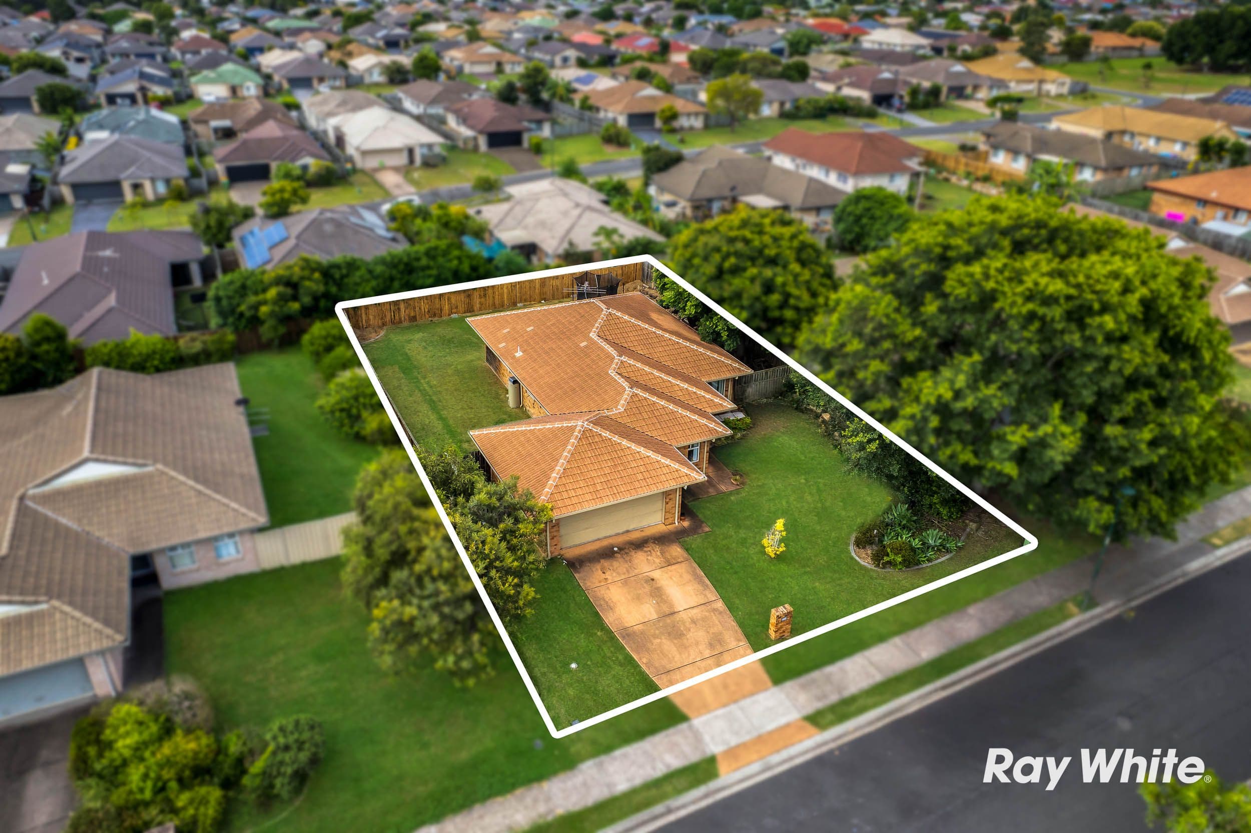 31 Westminster Crescent, Raceview QLD 4305, Raceview - Image 1