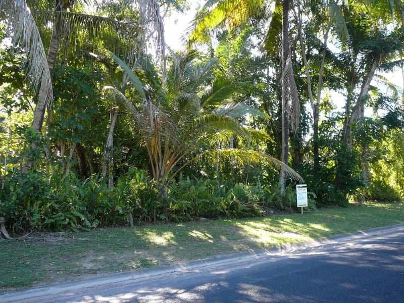 14 Wall Street, SOUTH MISSION QLD 4852, South Mission Beach - Thumbnail 6