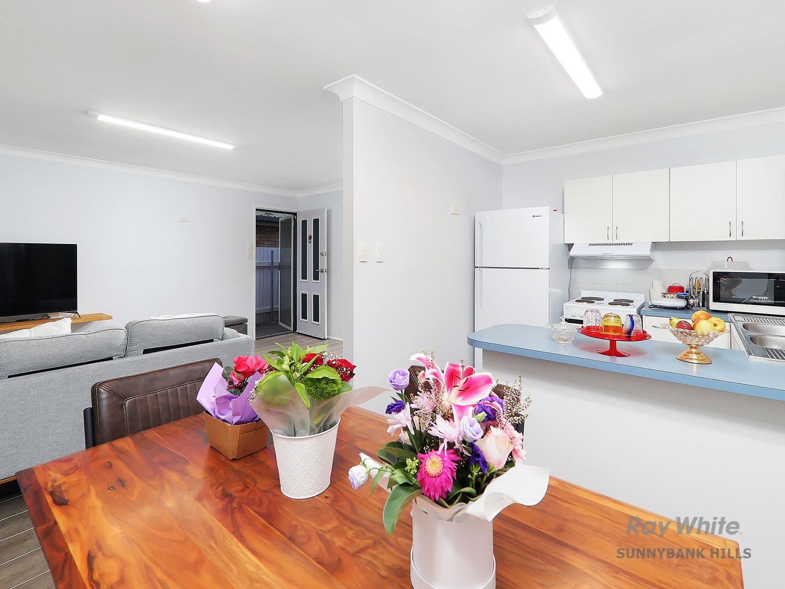 172 Morden Road, Sunnybank Hills QLD 4109, Sunnybank Hills - Image 1