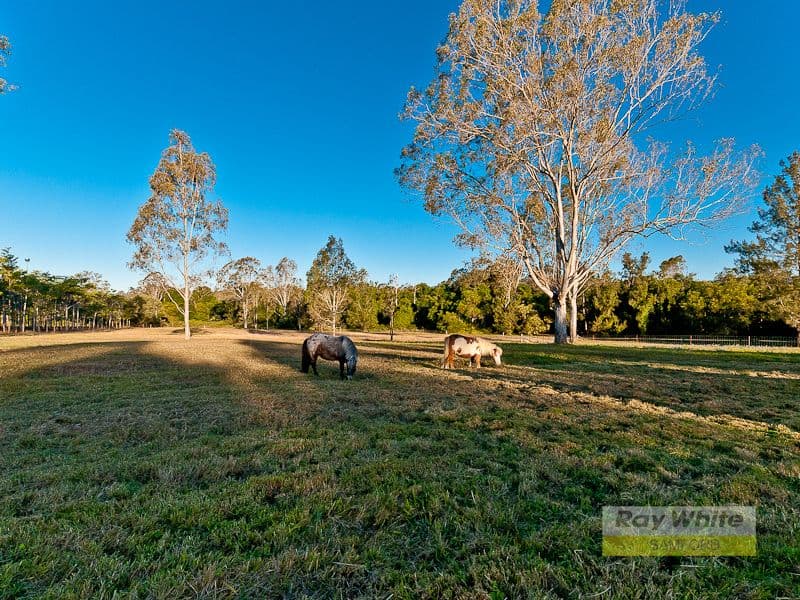 9 Riverine Court, SAMFORD VALLEY QLD 4520, Samford Valley - Thumbnail 8