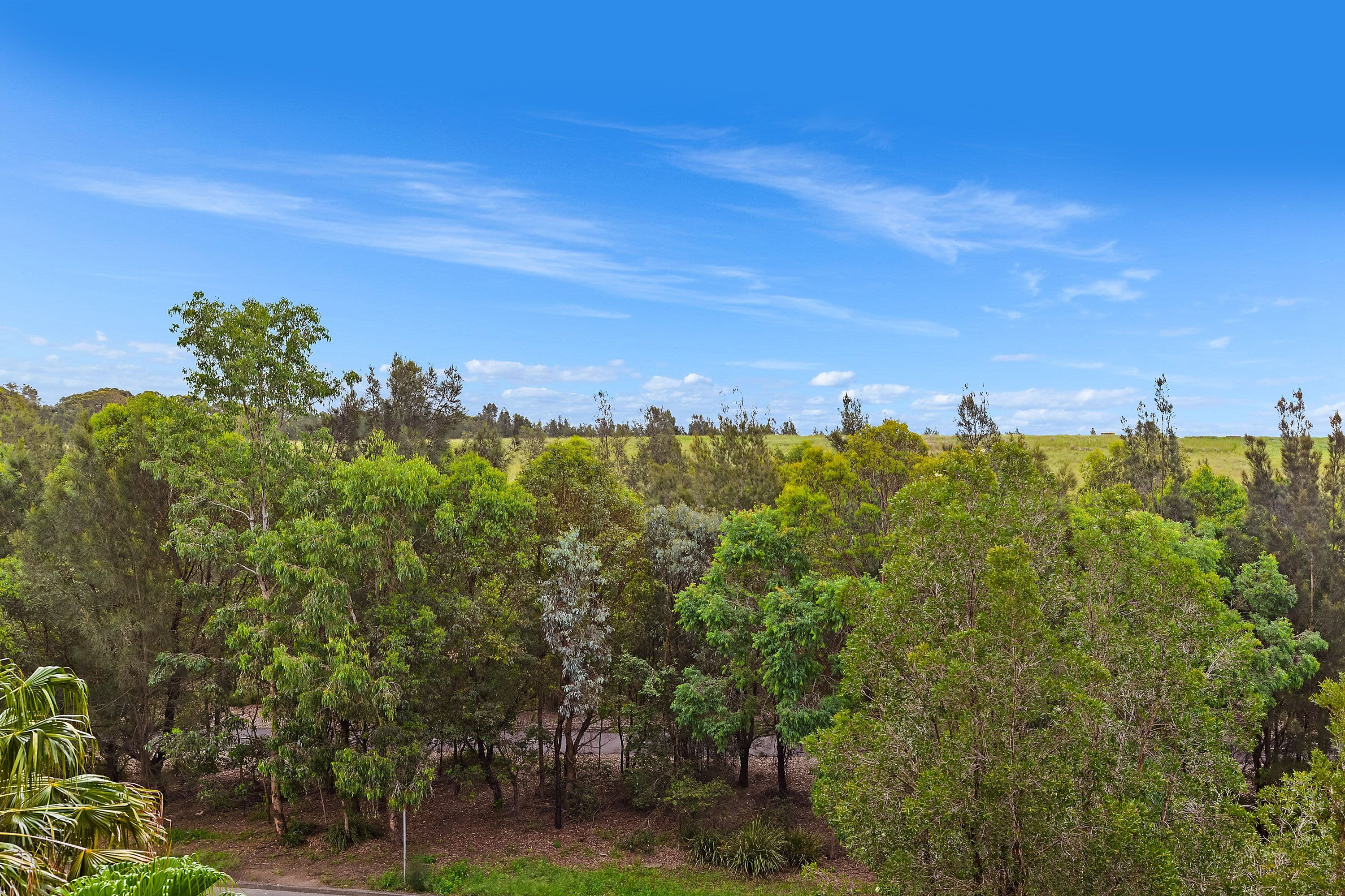 21 Hill Road, Wentworth Point NSW 2127, Wentworth Point - Thumbnail 4