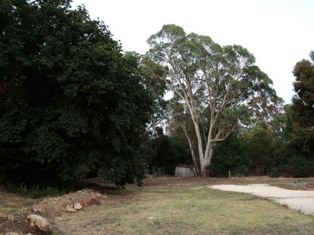 Lot 68 Adelaide North Road, WATERVALE SA 5452, Watervale - Thumbnail 7