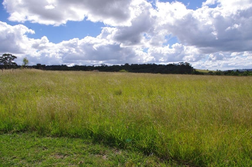 7 Bundanoon Lane, INVERELL NSW 2360, Inverell - Thumbnail 2