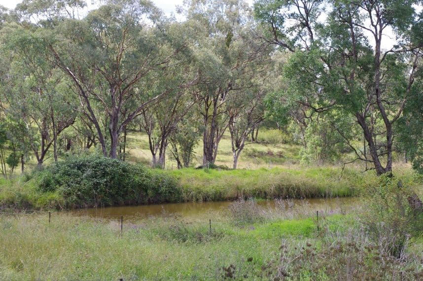 7 Bundanoon Lane, INVERELL NSW 2360, Inverell - Thumbnail 4