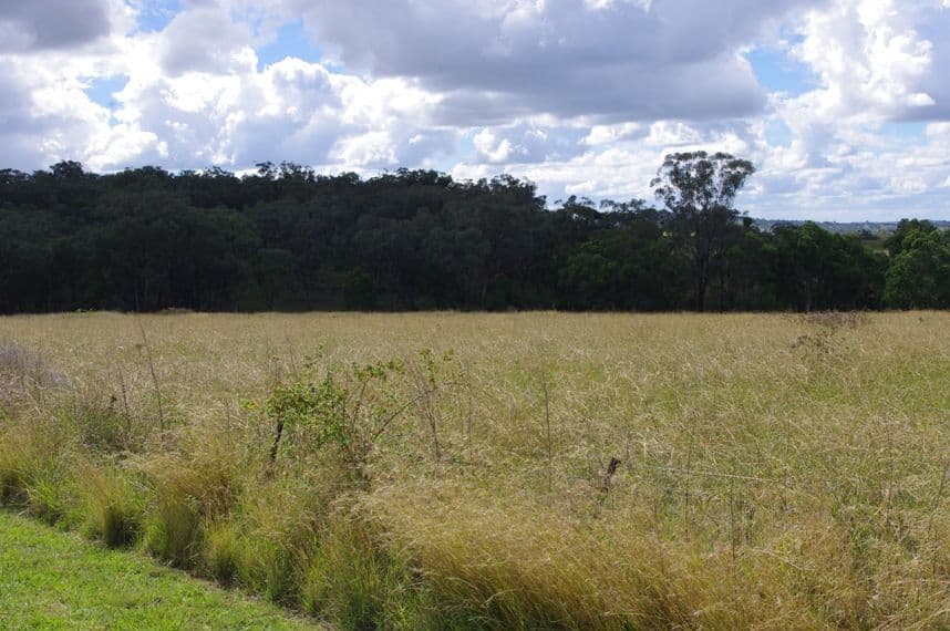 7 Bundanoon Lane, INVERELL NSW 2360, Inverell - Thumbnail 6