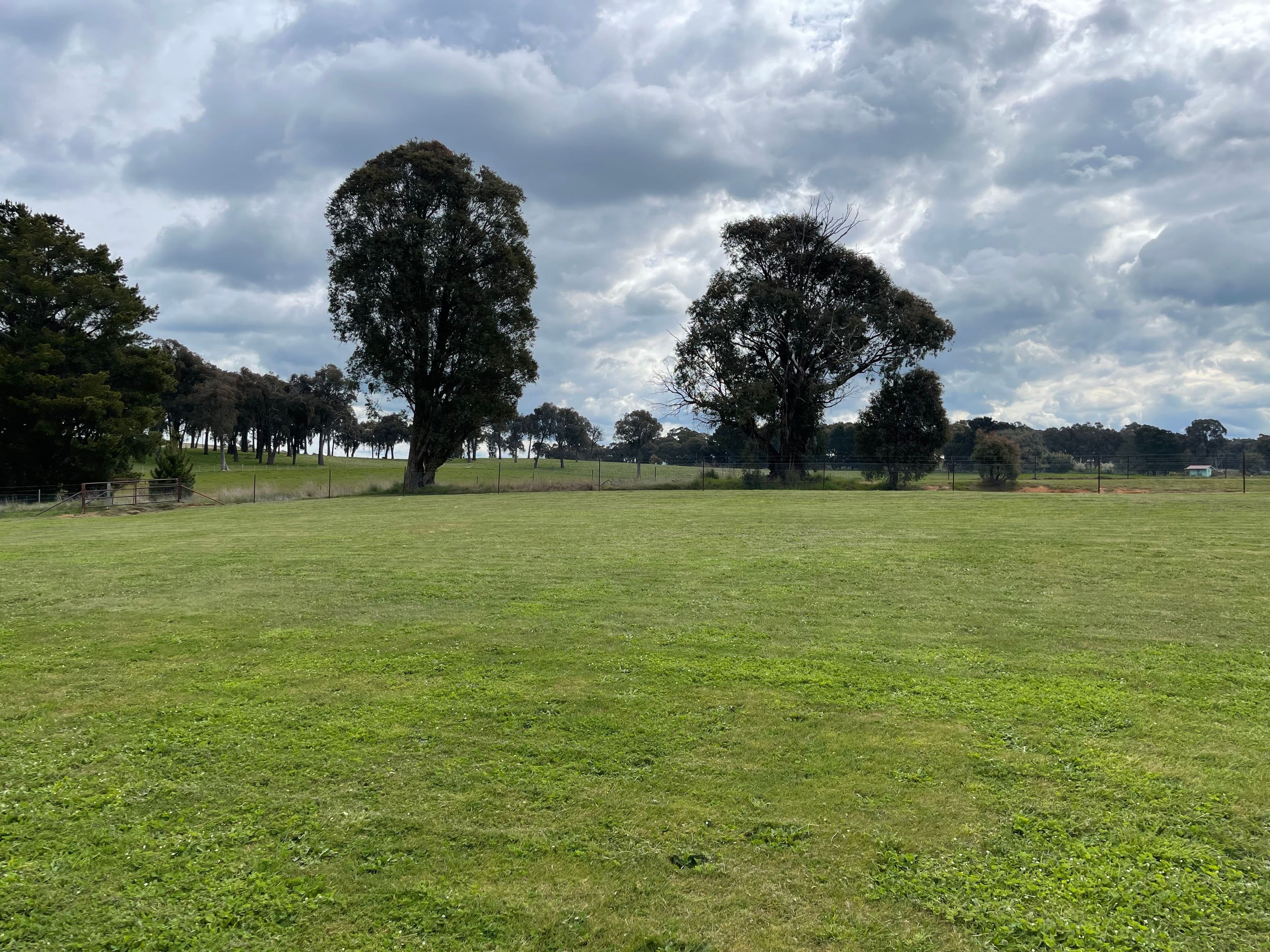 25 Langland Street, Tumbarumba NSW 2653, Tumbarumba - Thumbnail 3