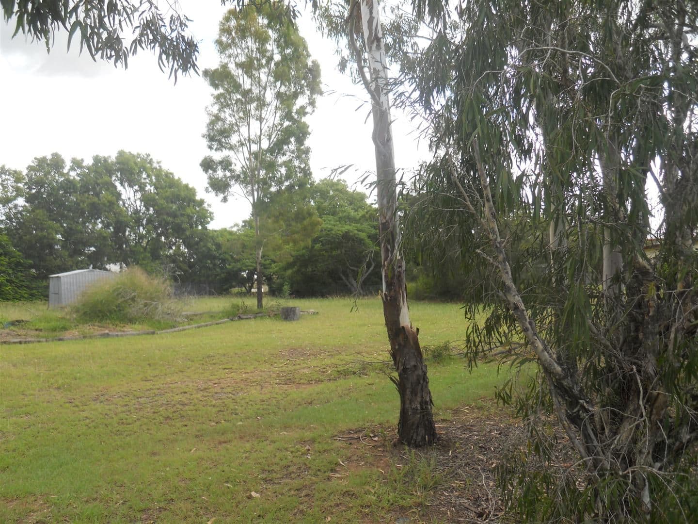 23 Barry Street, Gracemere QLD 4702, Gracemere - Thumbnail 4