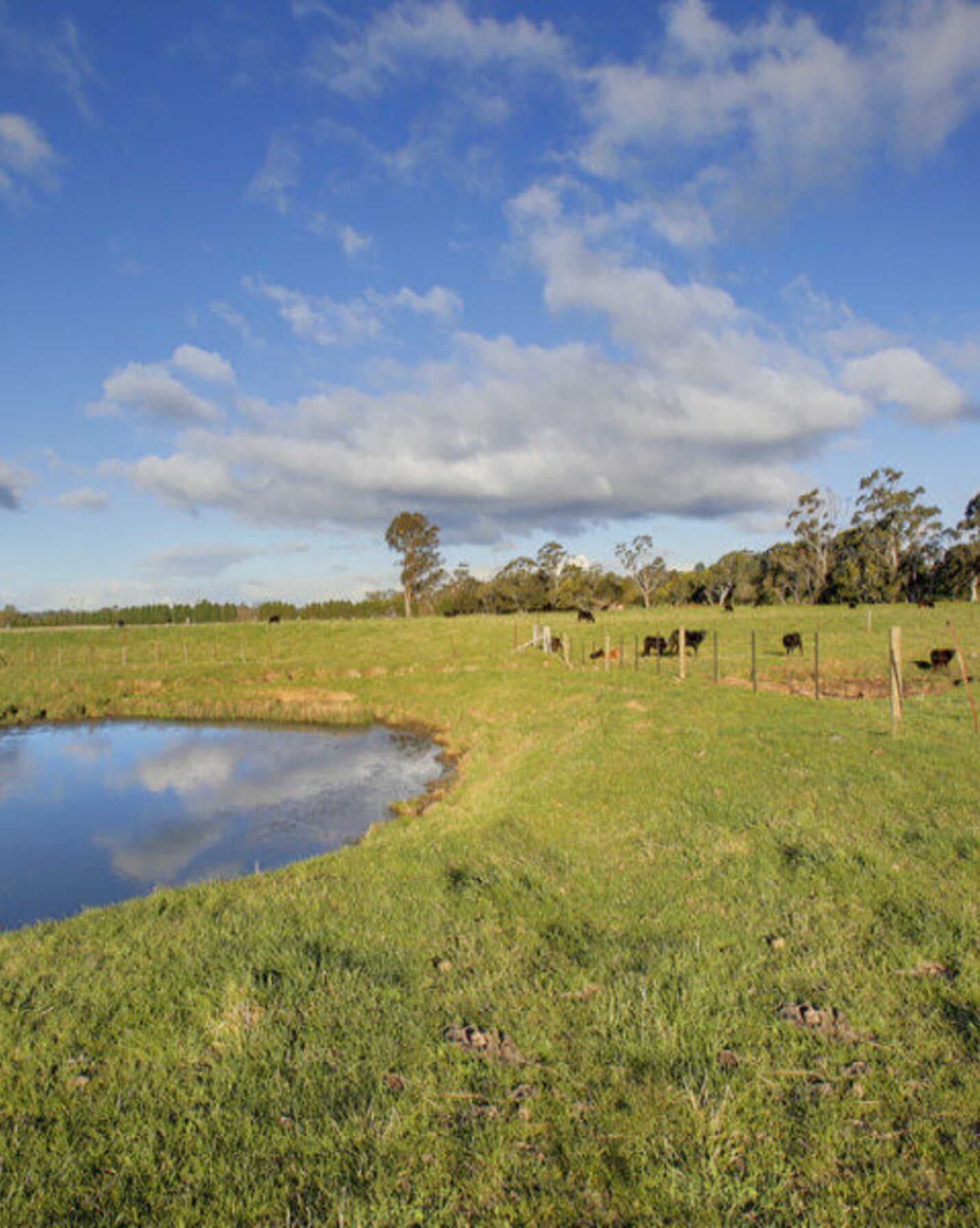 Yooralla 353 Yarrawa Road Moss Vale, Vale - Thumbnail 5