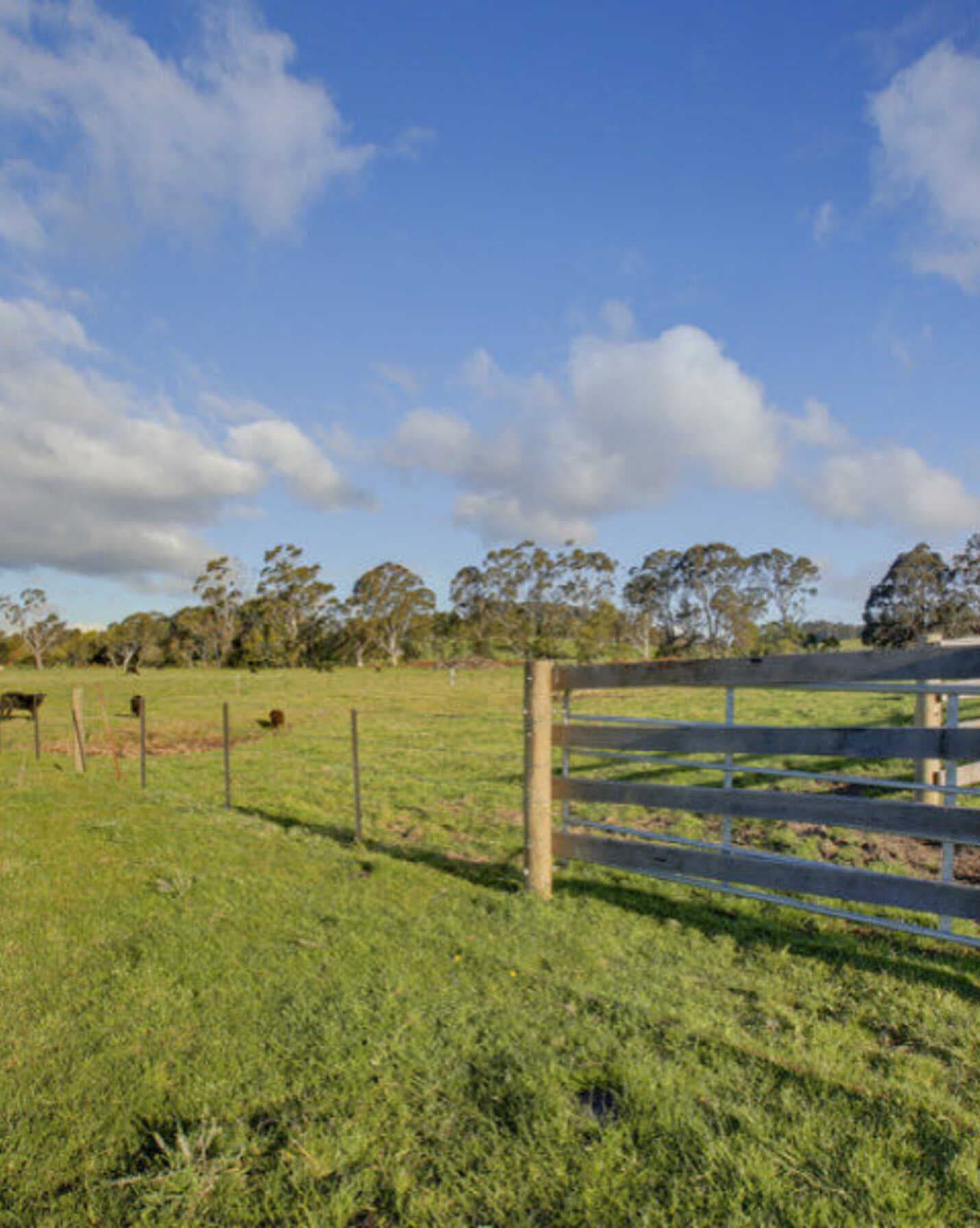 Yooralla 353 Yarrawa Road Moss Vale, Vale - Thumbnail 6