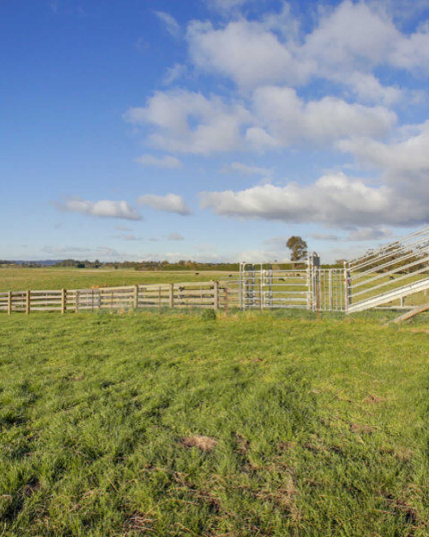 Yooralla 353 Yarrawa Road Moss Vale, Vale - Thumbnail 7