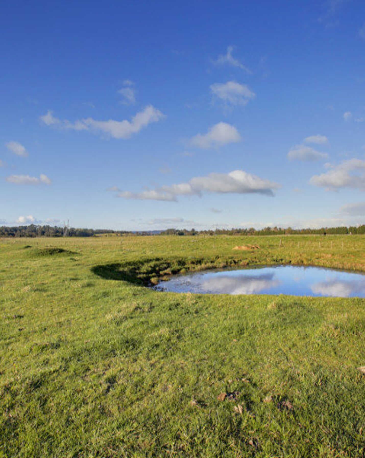 Yooralla 353 Yarrawa Road Moss Vale, Vale - Thumbnail 8