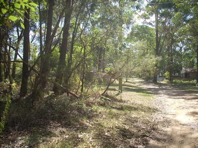 2 Tropic Drive, Russell Island QLD 4184, Russell Island - Thumbnail 4
