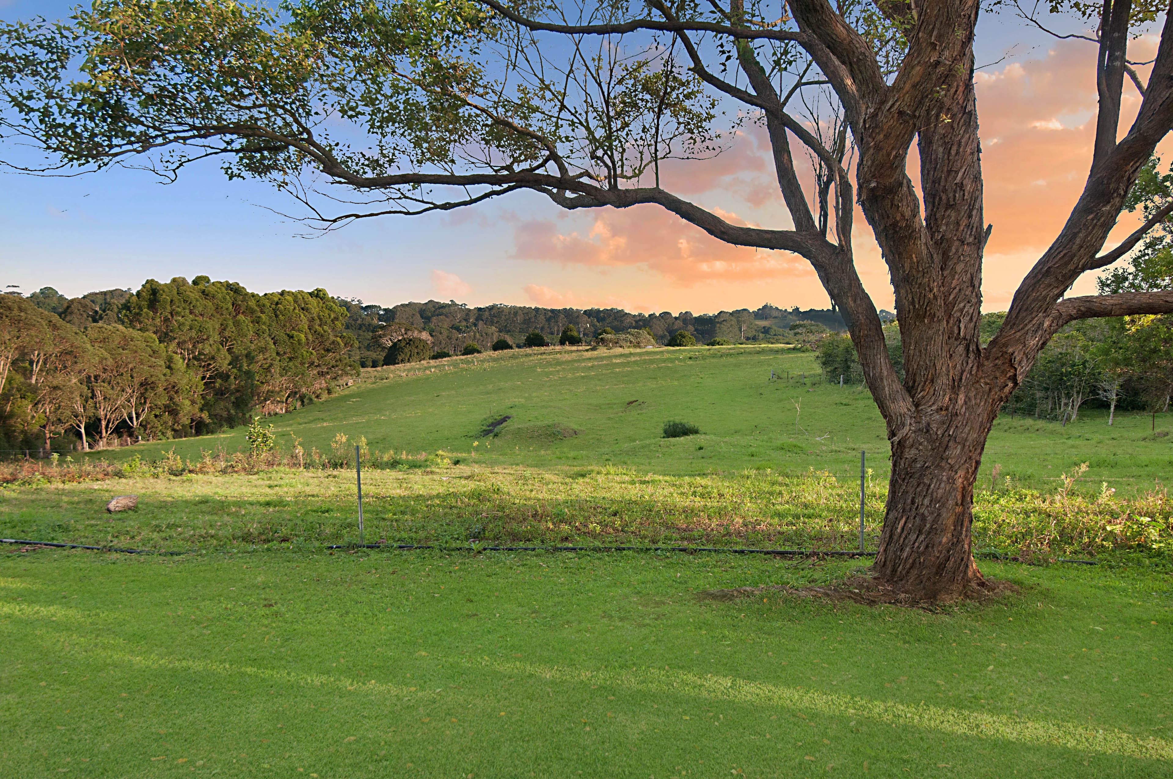 119 Lawlers Lane, Bangalow - Thumbnail 2
