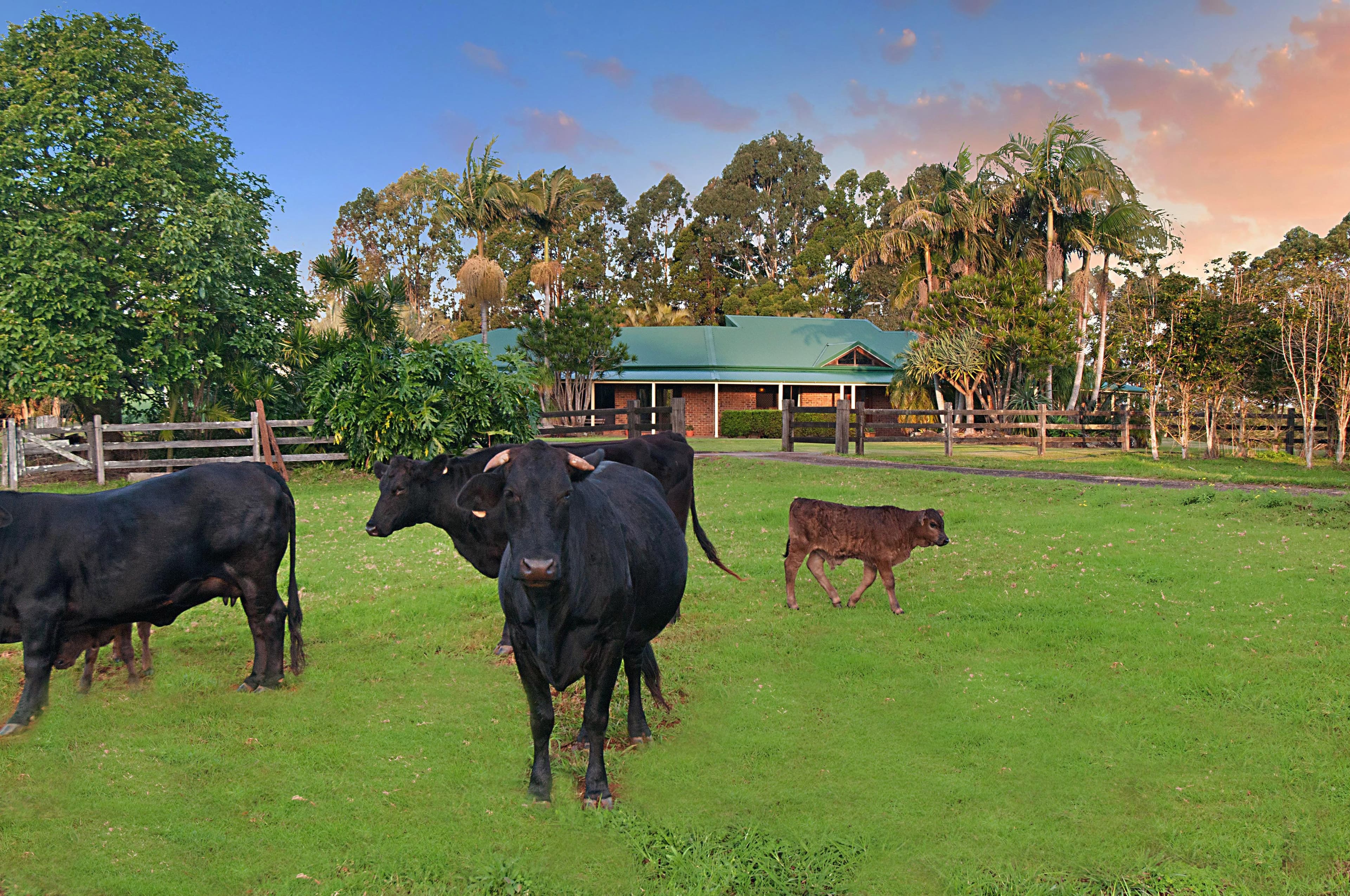 119 Lawlers Lane, Bangalow - Thumbnail 7