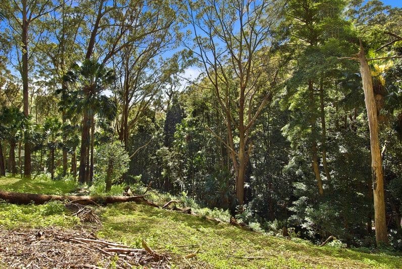 20 Domville Road, OTFORD NSW 2508, Otford - Thumbnail 4