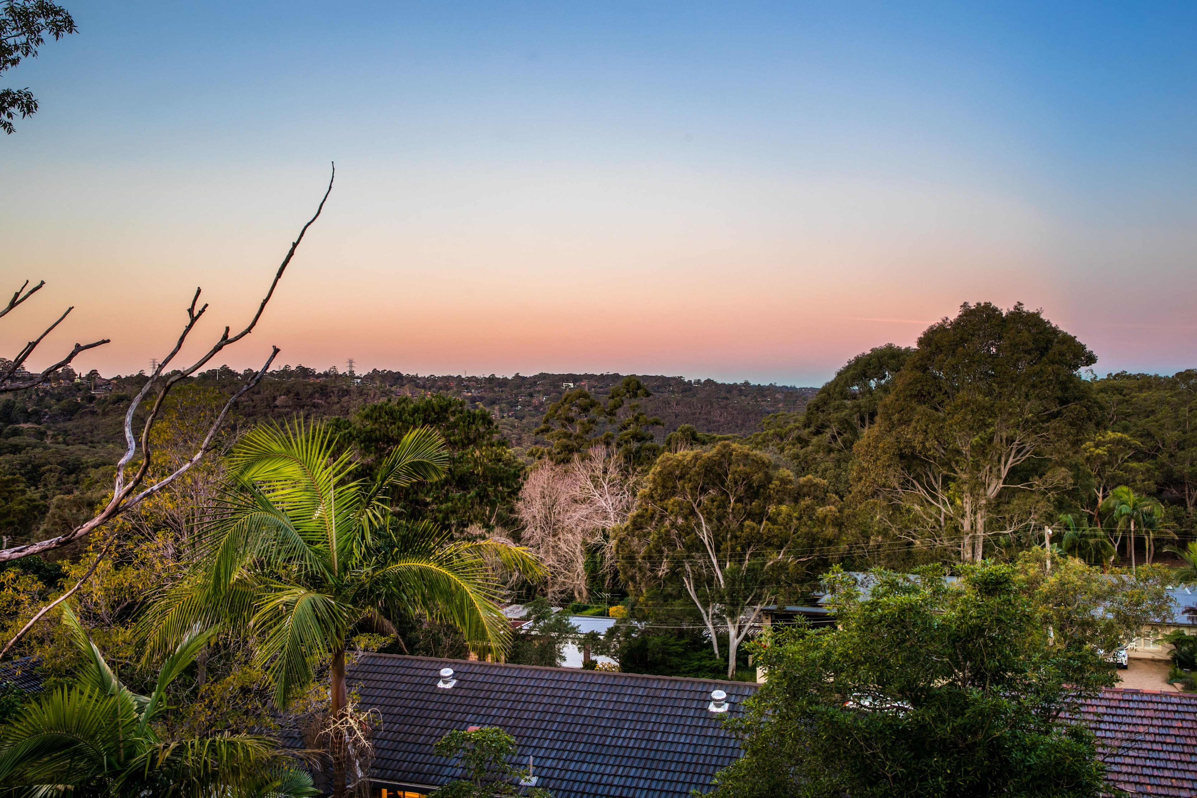 77 Waterhouse Avenue, St Ives NSW 2075, St Ives - Thumbnail 4