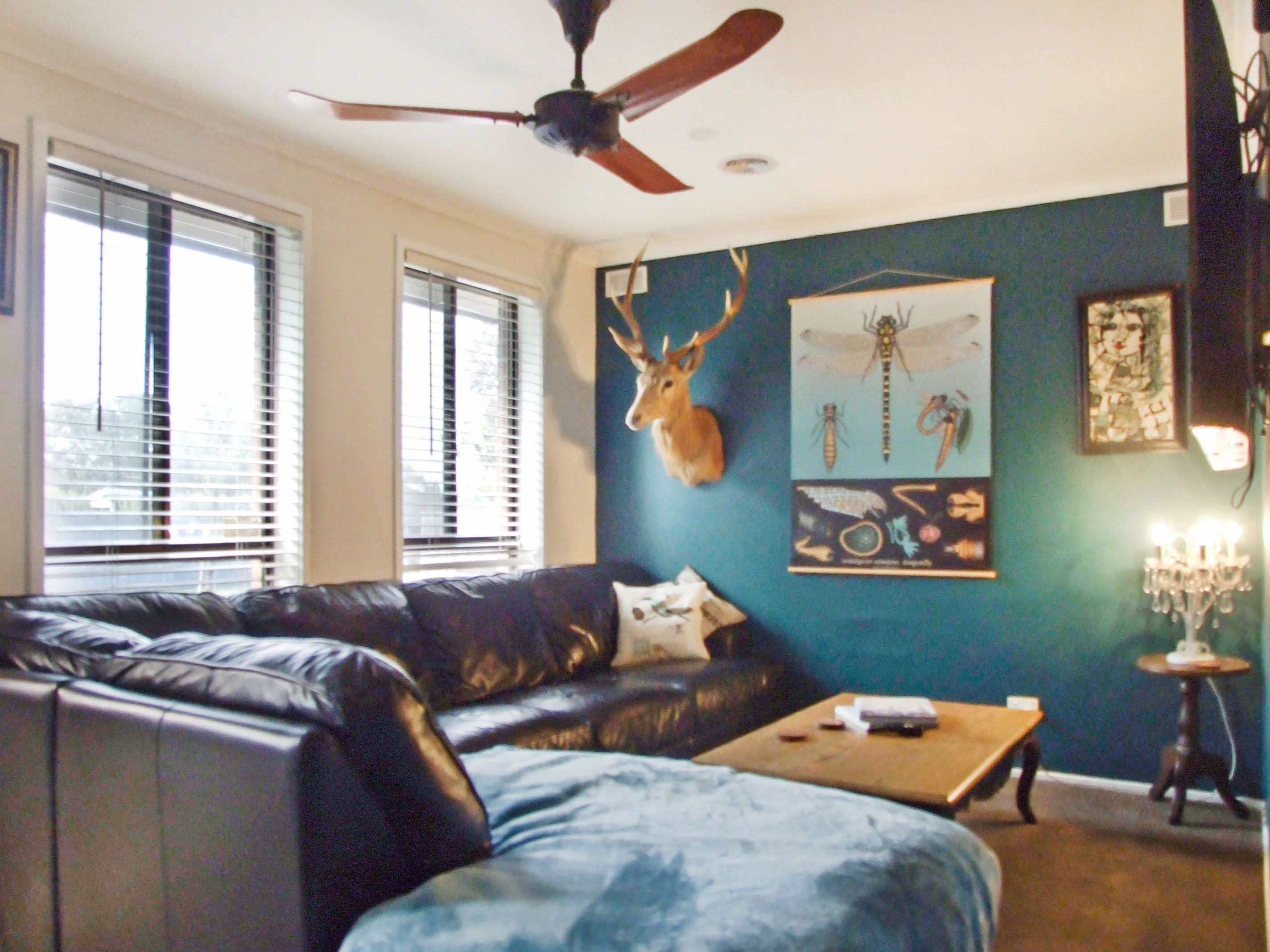 35 Stornoway Drive, Baxter VIC 3911, Baxter - Thumbnail 4