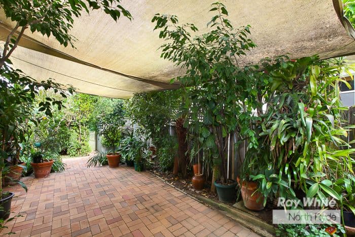 29 Numa Road, North Ryde NSW 2113, North Ryde - Thumbnail 4