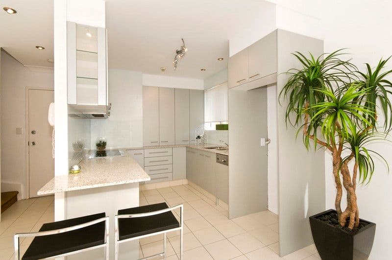 14 Jefferson Lane, PALM BEACH QLD 4221, Palm Beach - Thumbnail 3