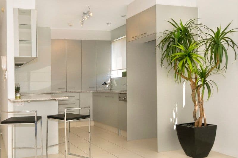14 Jefferson Lane, PALM BEACH QLD 4221, Palm Beach - Thumbnail 4