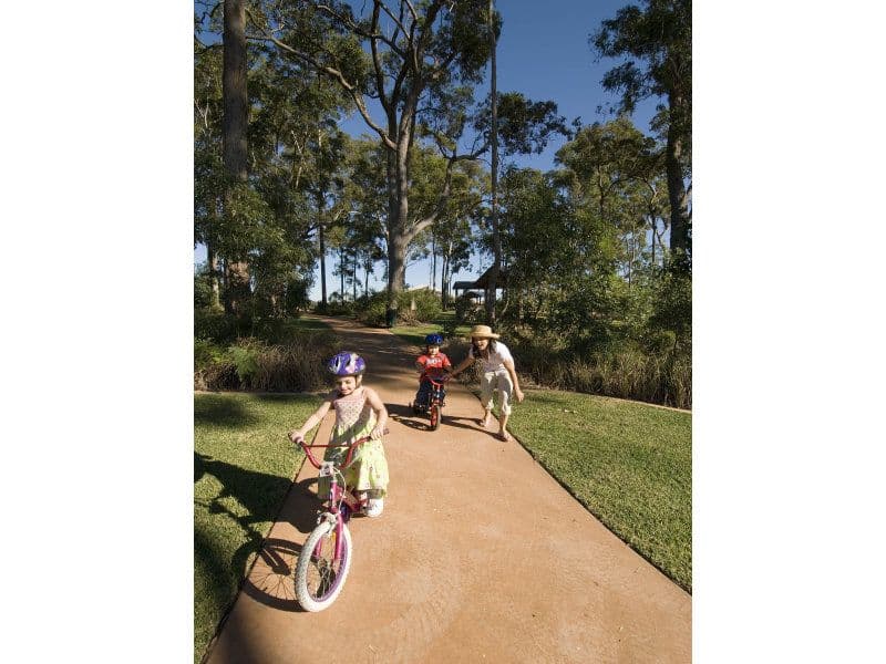 13 Balgownie Drive, PEREGIAN SPRINGS QLD 4573, Peregian Springs - Thumbnail 4