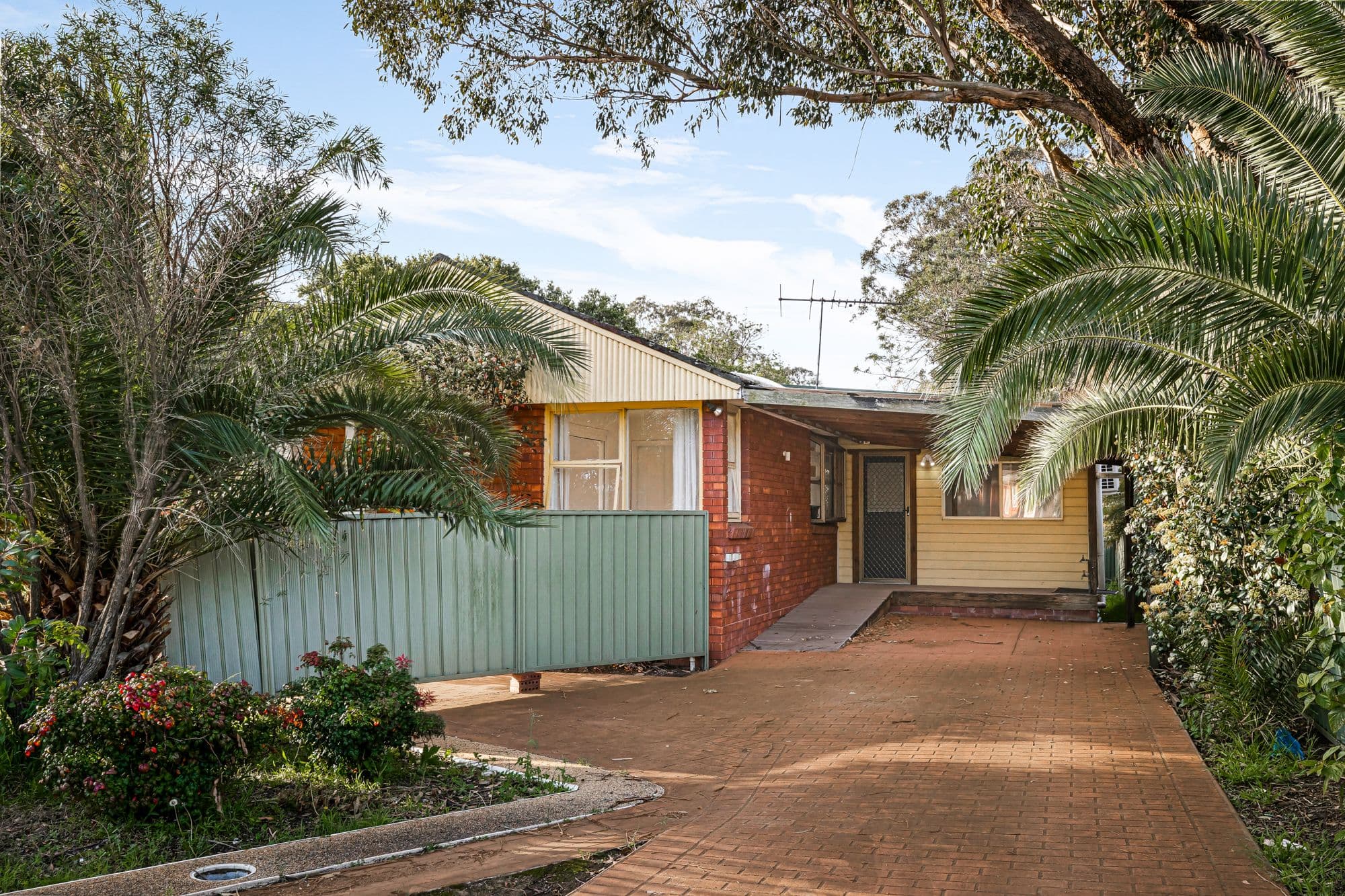 62 & 62a Bryson Street, Toongabbie NSW 2146, Toongabbie - Thumbnail 3
