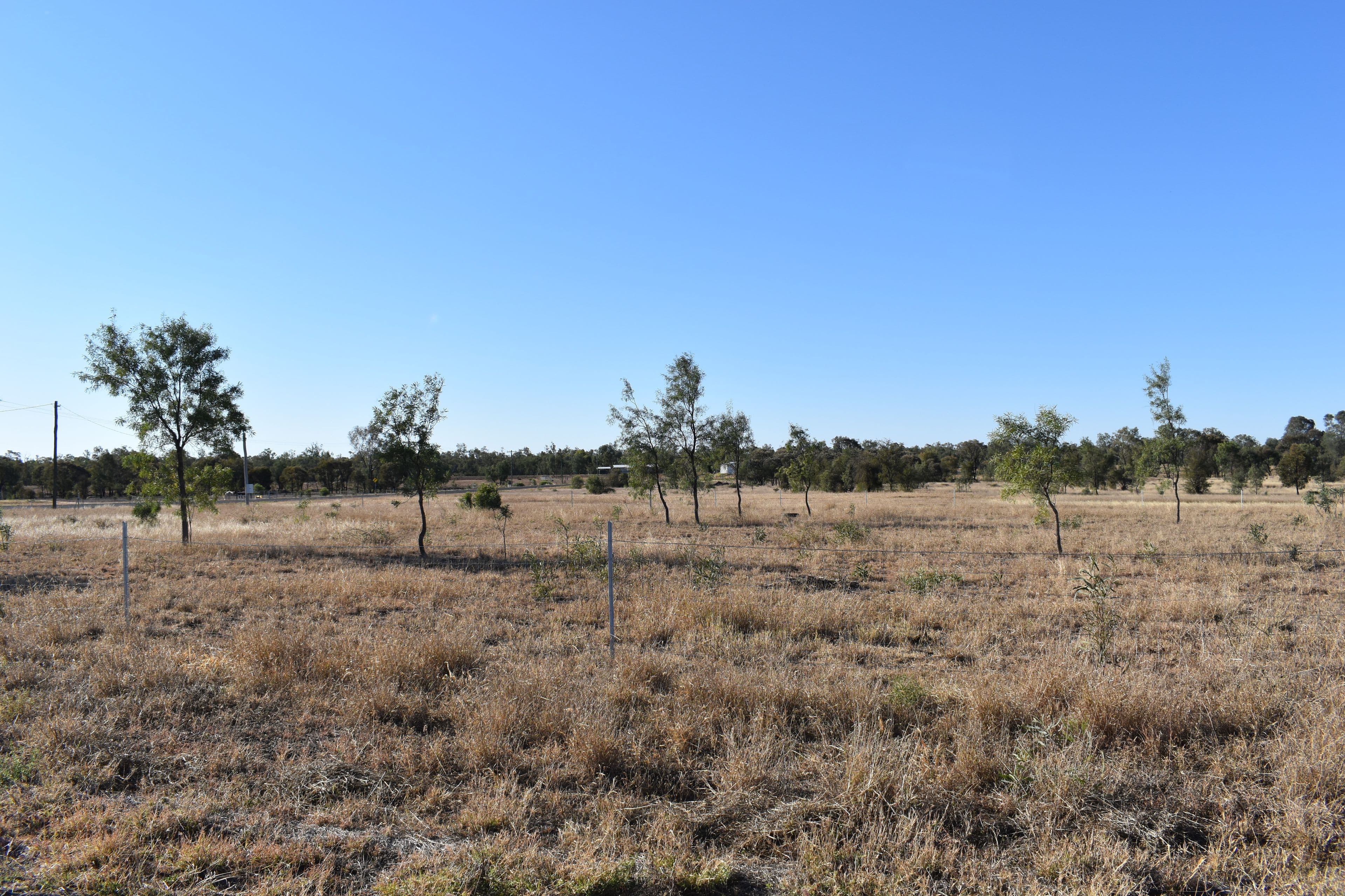 Lot 13 Tandara Court, Emerald QLD 4720, Emerald - Image 1