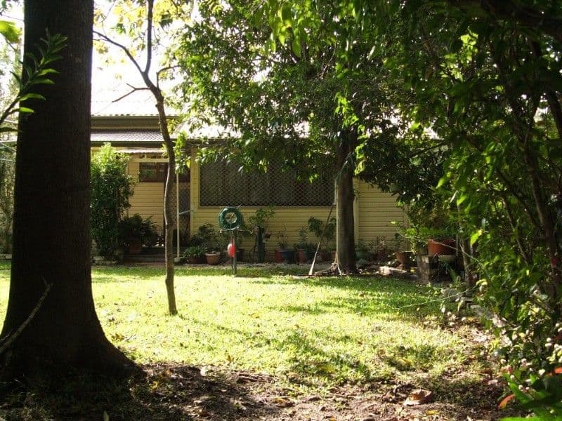 256 Mason Street, KOONGAL QLD 4701, Koongal - Thumbnail 5