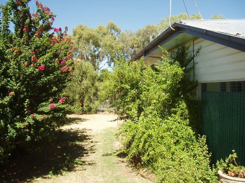 21 Deverell, CHARLEVILLE QLD 4470, Charleville - Thumbnail 8