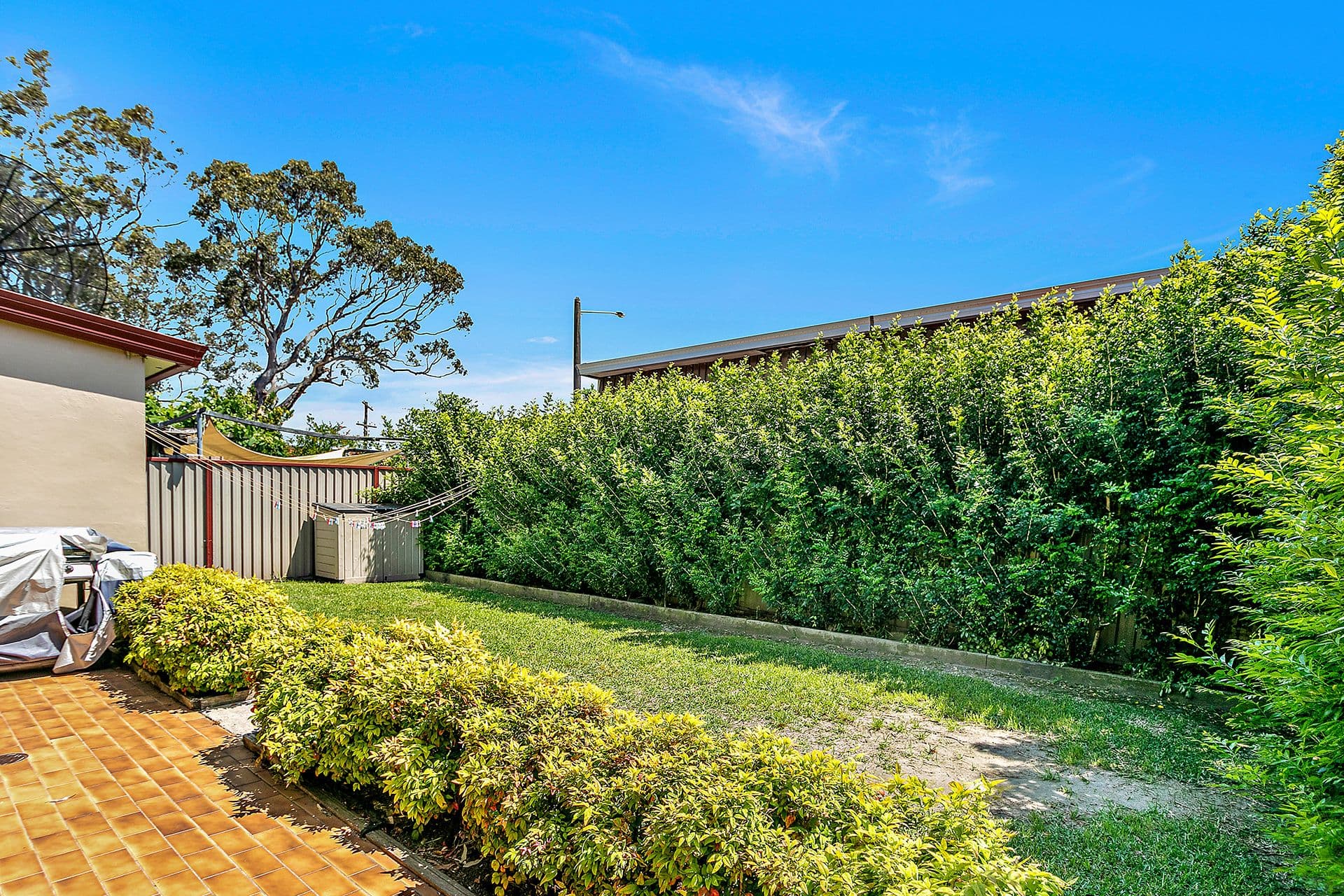 239 Forest Road, Arncliffe - Thumbnail 8