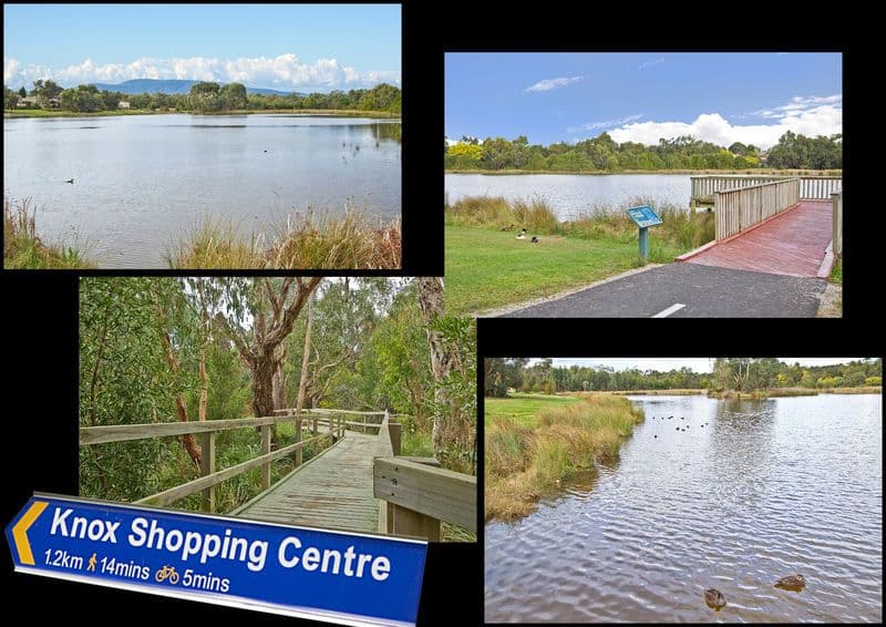 12 Woodview Place, KNOXFIELD VIC 3180, Knoxfield - Thumbnail 3
