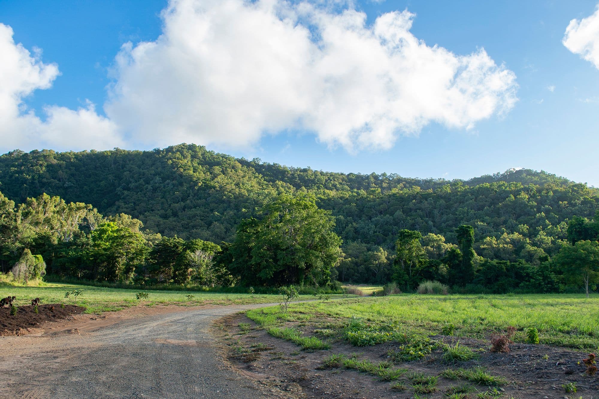 5531 Captain Cook Highway, Mowbray QLD 4877, Mowbray - Thumbnail 6