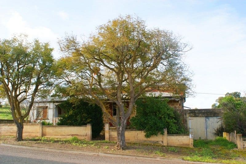 Lots 18 and 19 Green Street, MYPOLONGA SA 5254, Mypolonga - Image 1