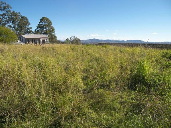 66/116 Albert Street, Goodna, QLD, 4300, Goodna - Thumbnail 3