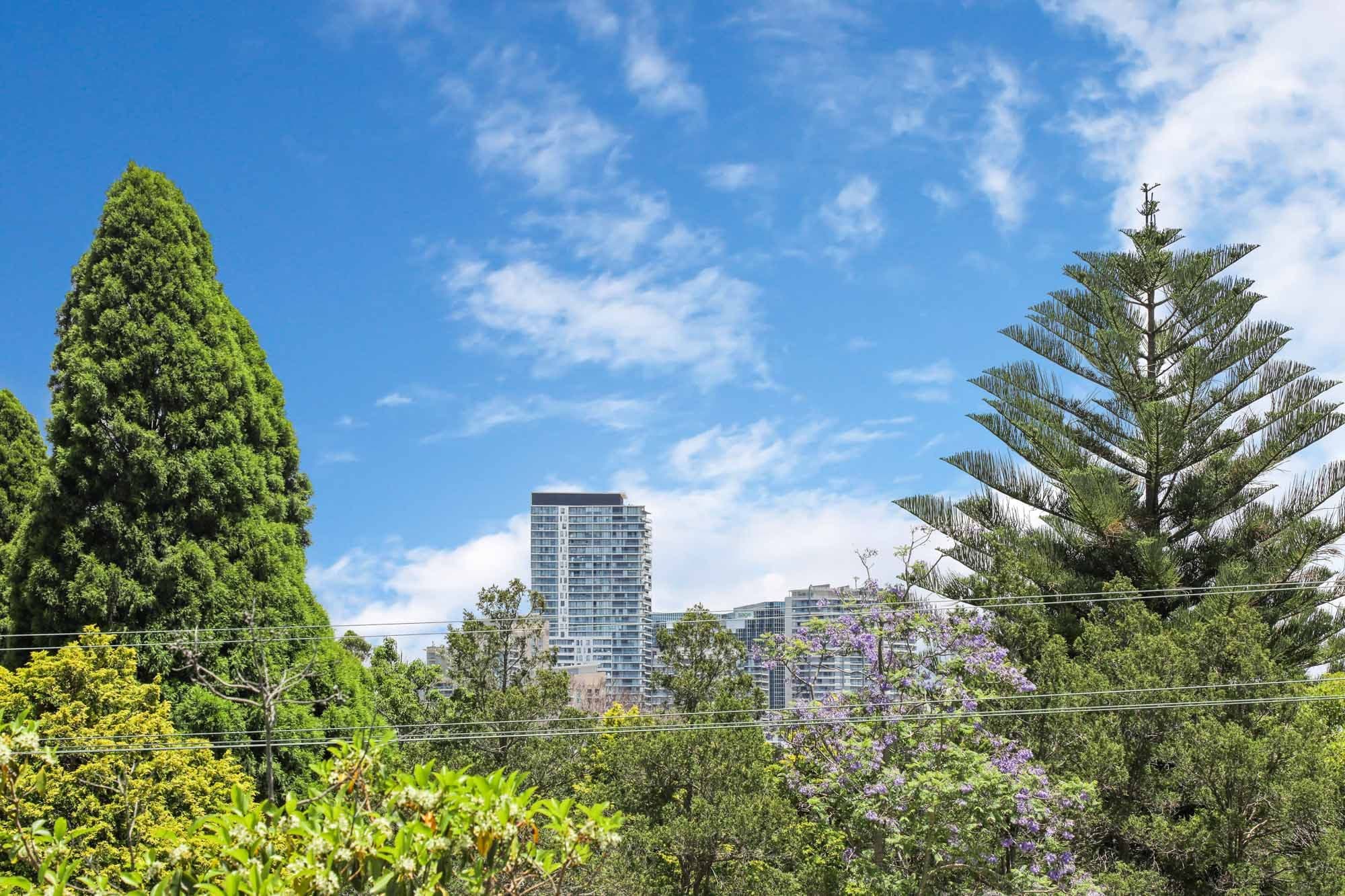 71-73 Stanley Street, Chatswood NSW 2067, Chatswood - Thumbnail 7