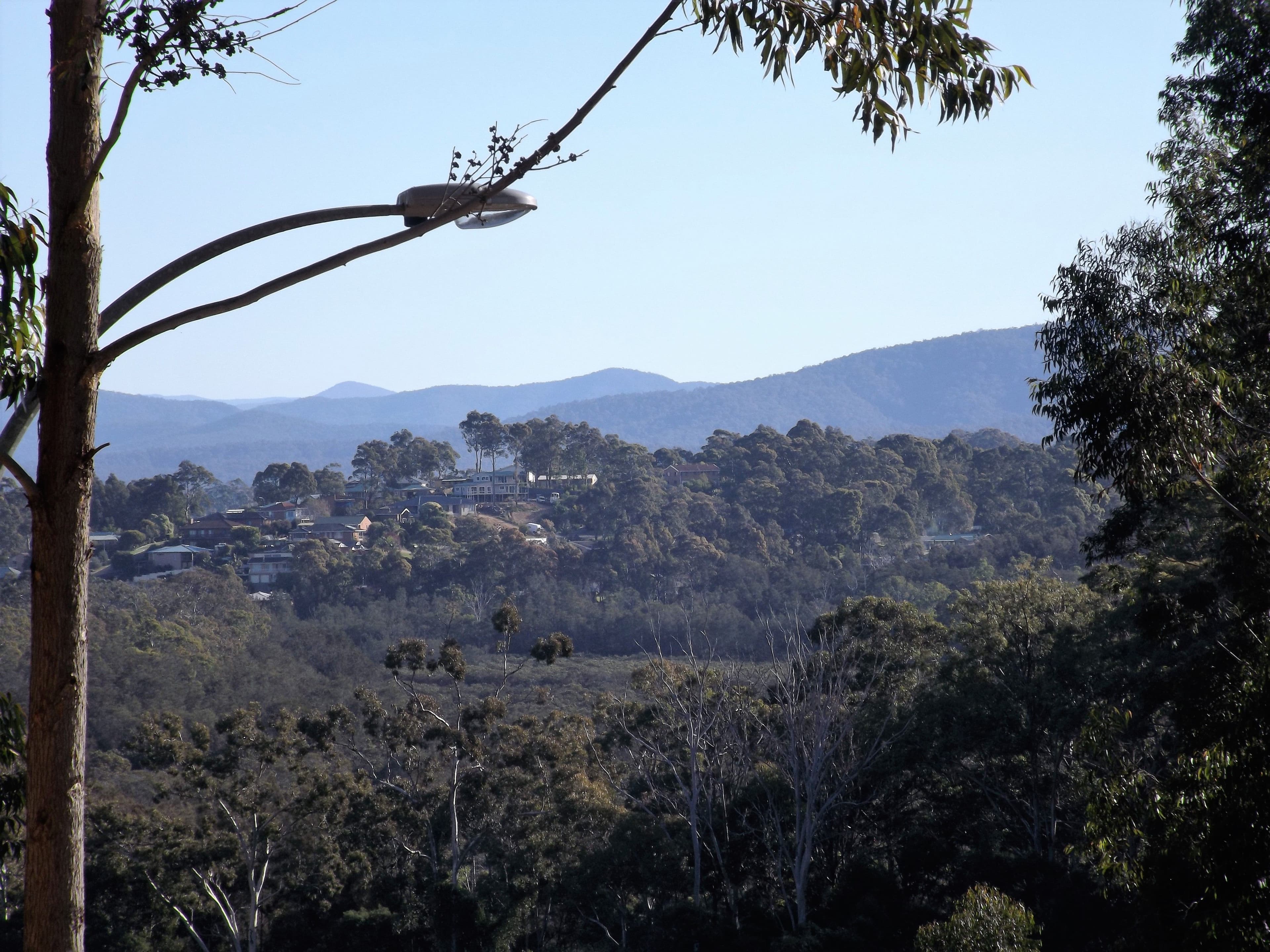 113 Litchfield Crescent, Long Beach NSW 2536, Long Beach - Image 1