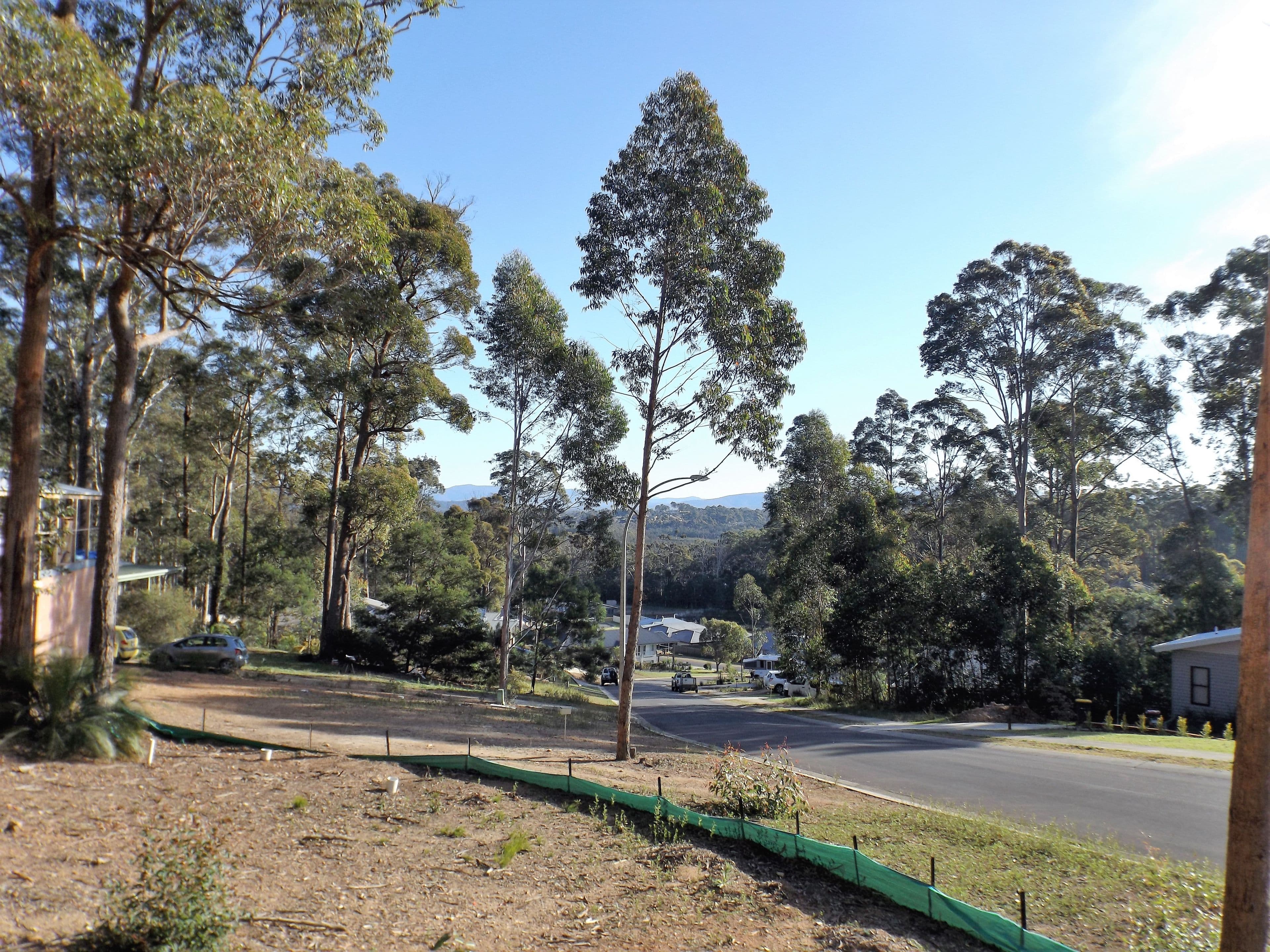 113 Litchfield Crescent, Long Beach NSW 2536, Long Beach - Thumbnail 2