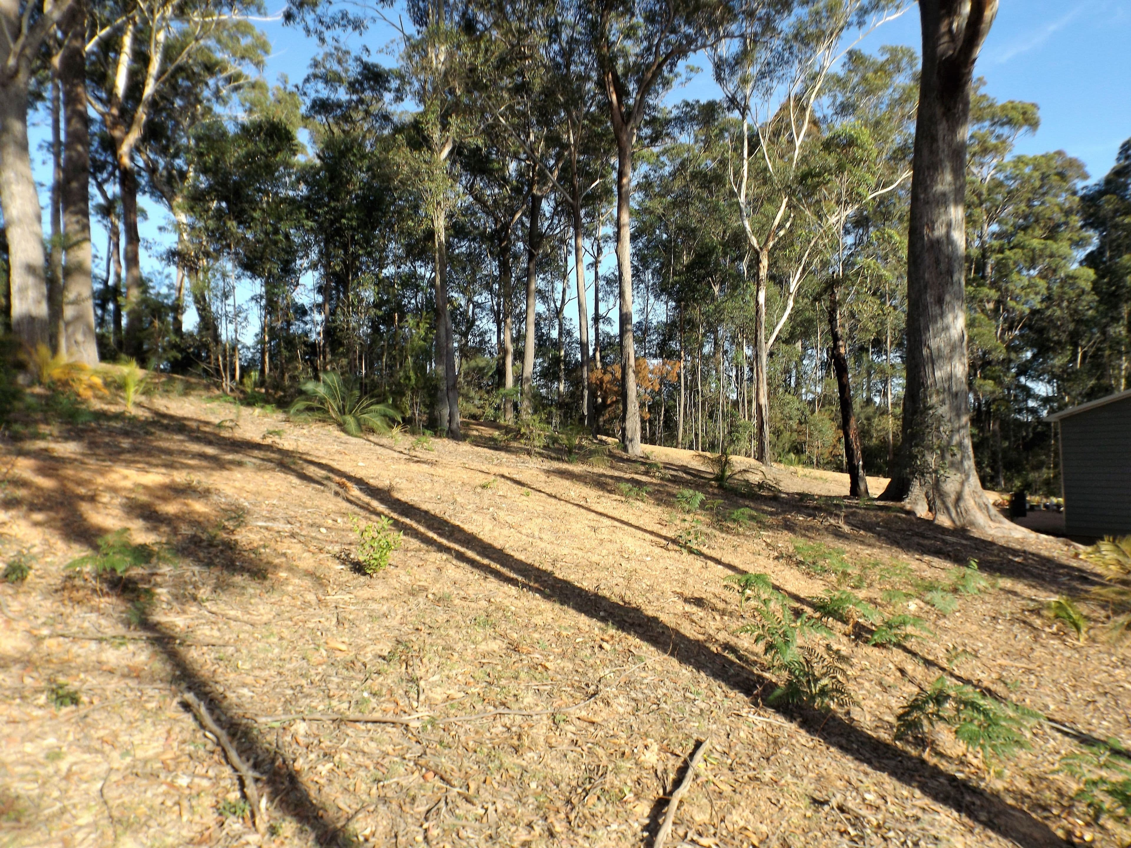 113 Litchfield Crescent, Long Beach NSW 2536, Long Beach - Thumbnail 4