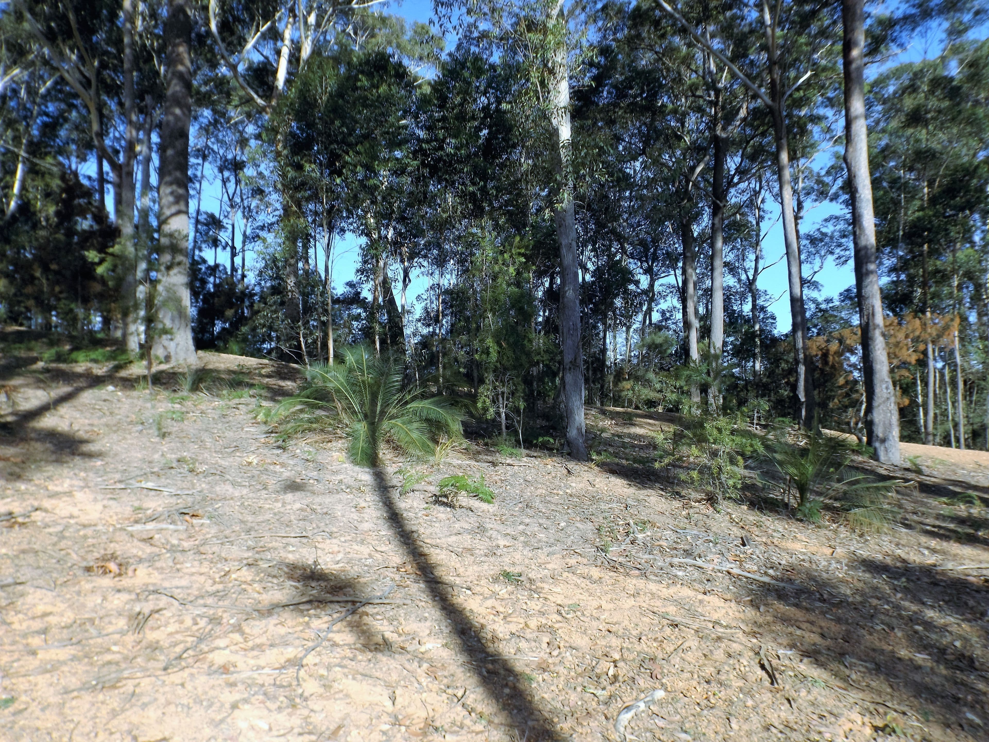 113 Litchfield Crescent, Long Beach NSW 2536, Long Beach - Thumbnail 5