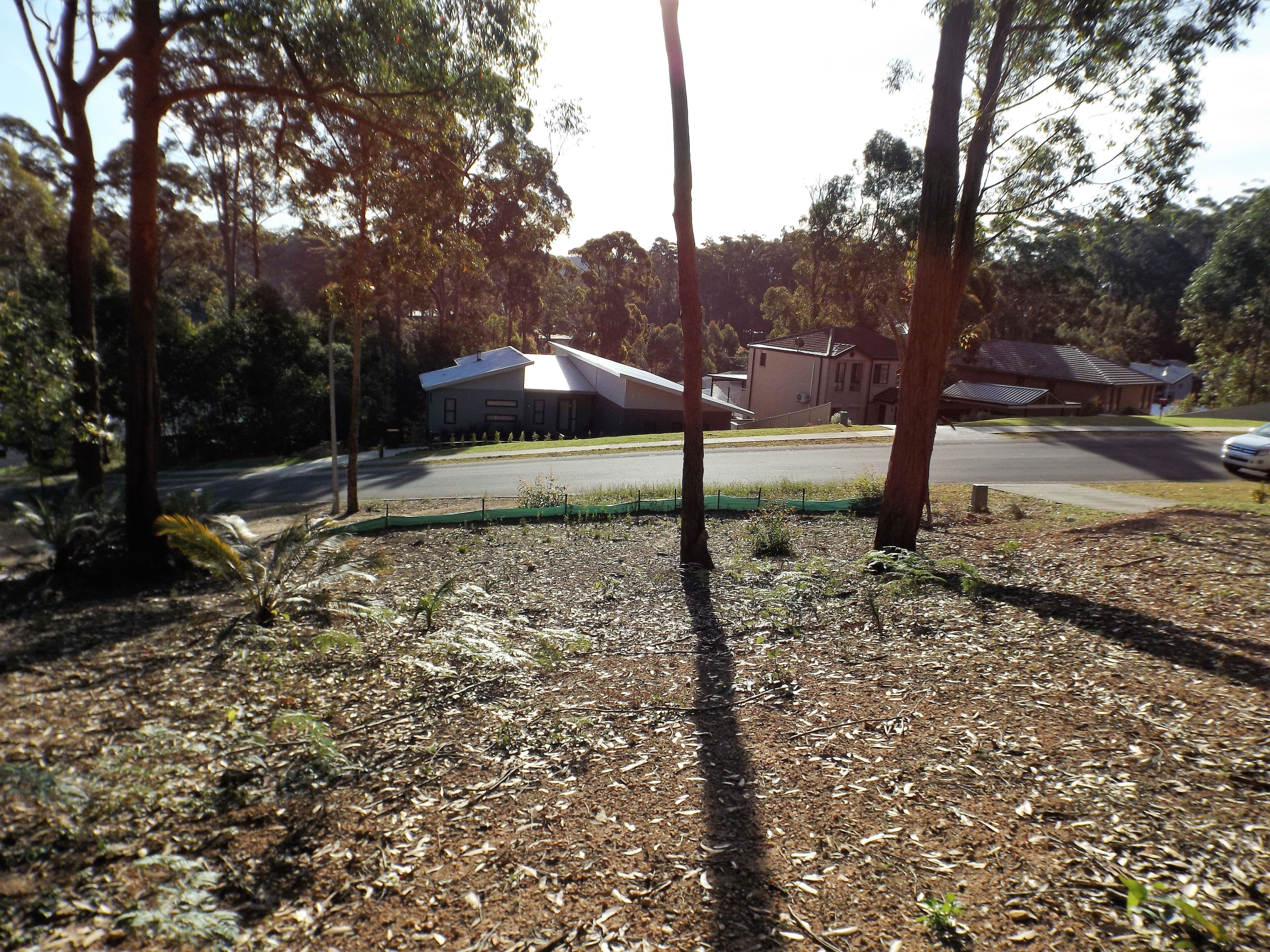 113 Litchfield Crescent, Long Beach NSW 2536, Long Beach - Thumbnail 6