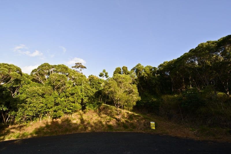 Lot 25 Black Road, RIORDANVALE QLD 4800, Riordanvale - Thumbnail 3