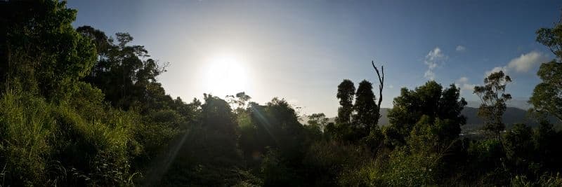 Lot 25 Black Road, RIORDANVALE QLD 4800, Riordanvale - Thumbnail 4