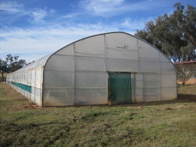 5 Friends Lane, YOUNG NSW 2594, Young - Thumbnail 4