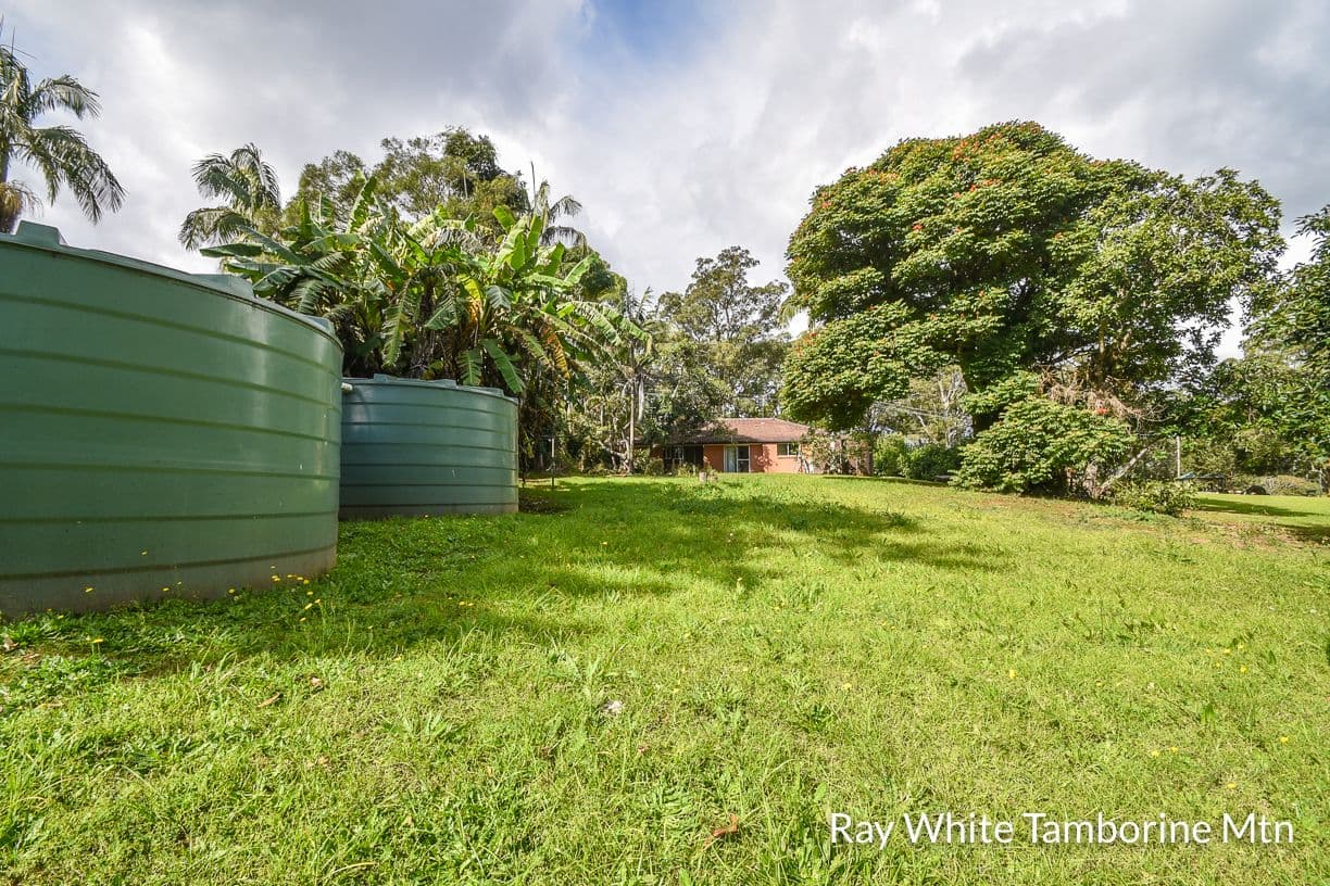 99 Main Western Road, Tamborine Mountain QLD 4272, Tamborine Mountain - Thumbnail 5