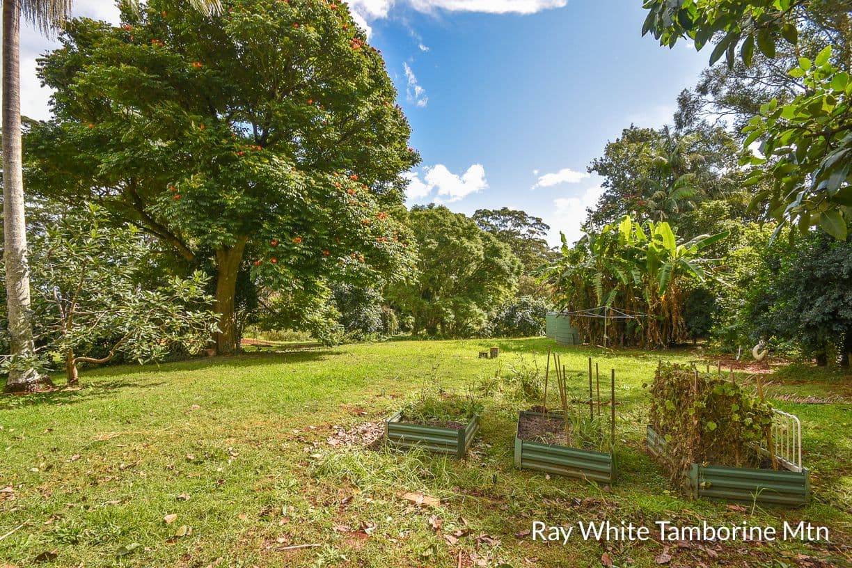 99 Main Western Road, Tamborine Mountain QLD 4272, Tamborine Mountain - Thumbnail 7