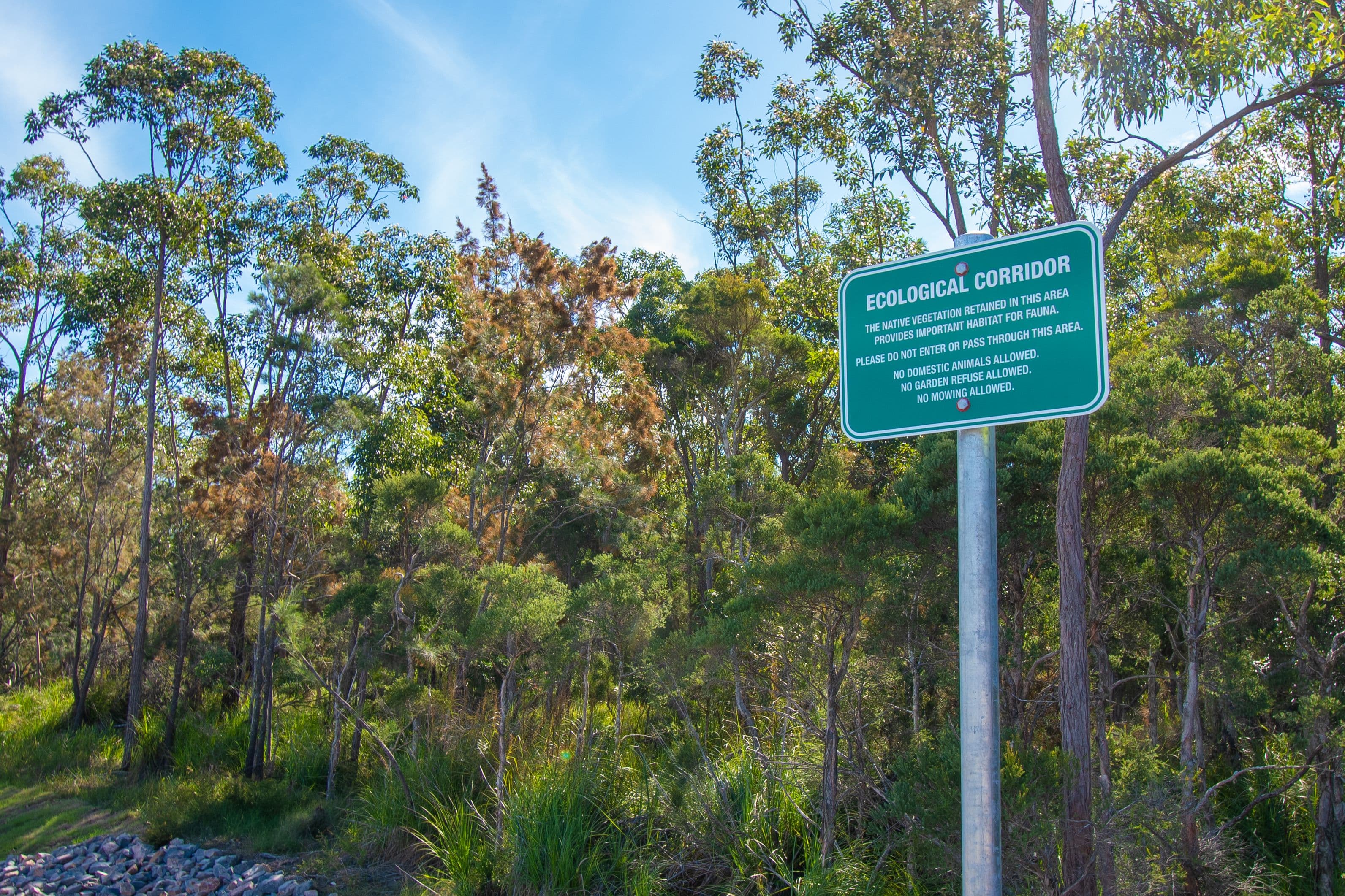 Lot 13 Cinnamon Way, Scarborough Park, Morisset NSW 2264, Morisset - Thumbnail 6
